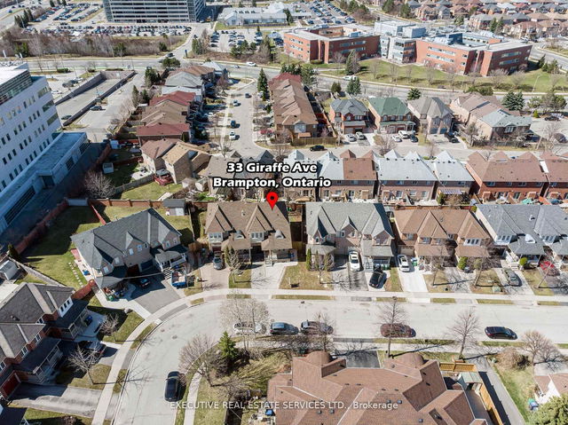 33 Giraffe Avenue