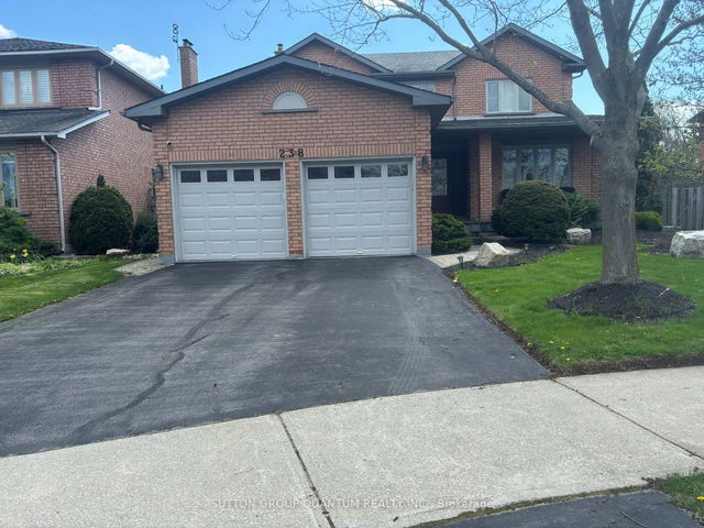 238 Elderwood Trail