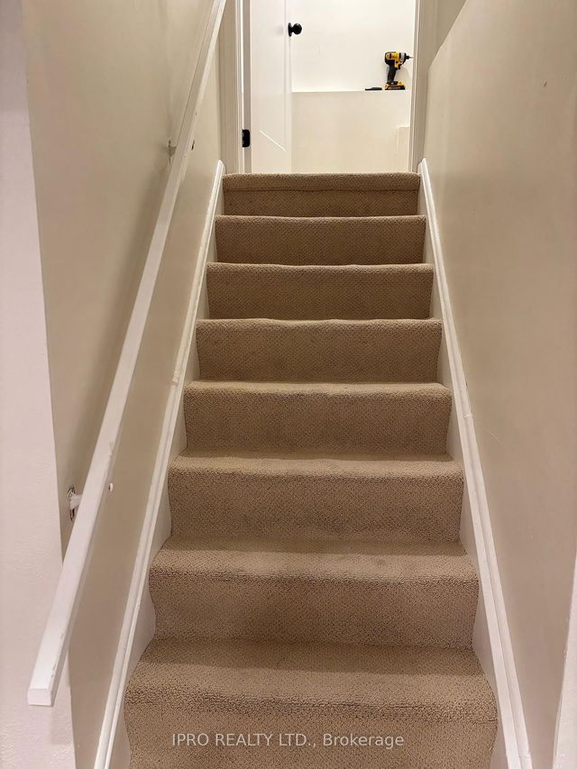 Lower - 6207 McCracken Drive