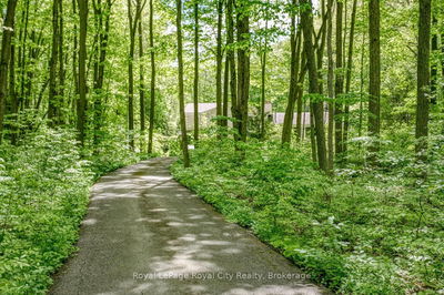 1158 Conservation Rd, Milton - Rural Milton West image-0-2
