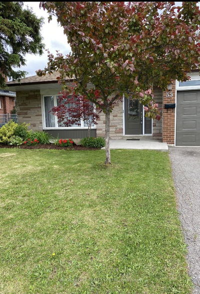 35 Aintree Cres, Brampton - Avondale image-0-1