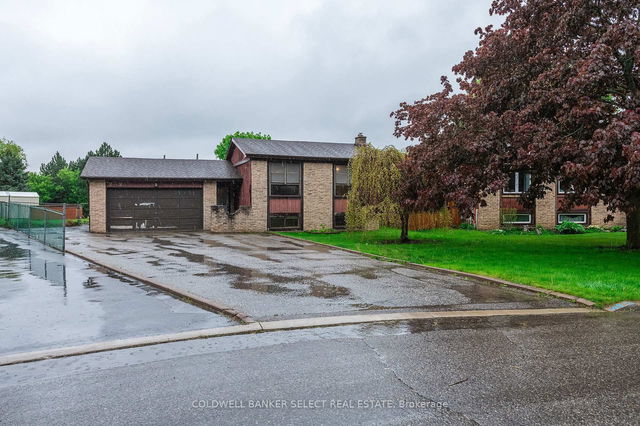282 Whitehead Crescent