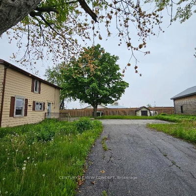 9950 Britannia Rd, Milton - Rural Milton image-0-4