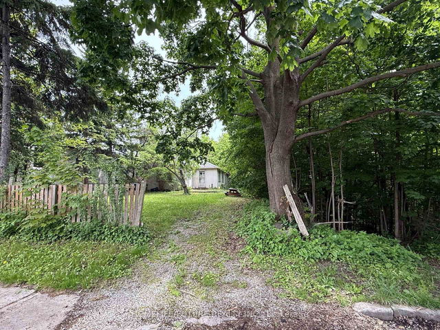 31 Maple Bush Avenue