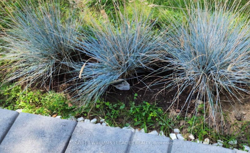 3537 Enniskillen Circ, Mississauga, L5C 2M9 | Image 3