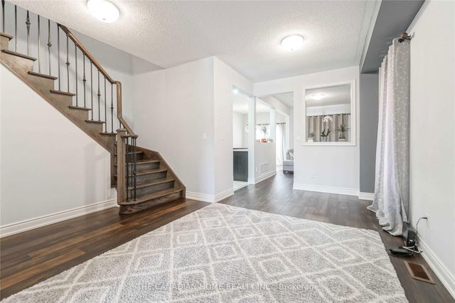 240 Brussels Full House Avenue
