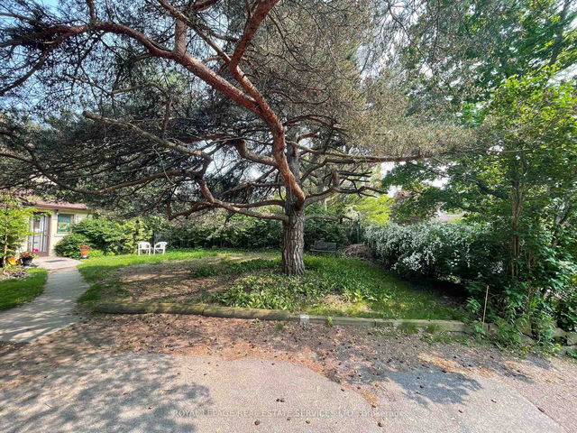 Upper - 239 Ellis Avenue