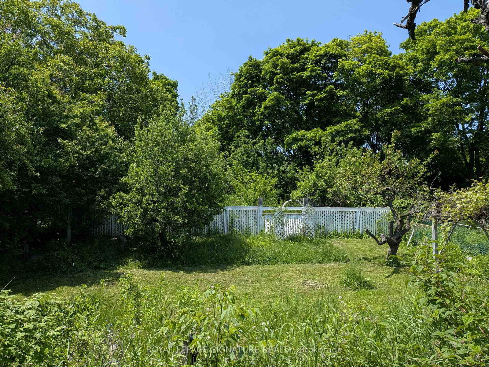 Listing photo 1