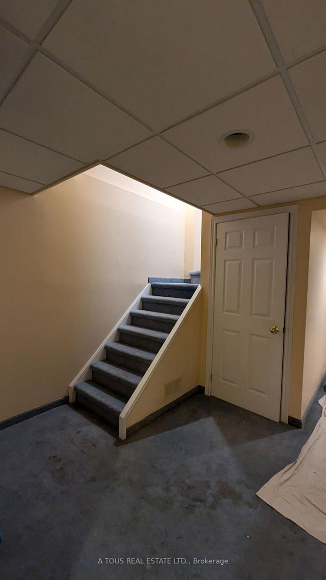 BASEMENT - 41 Blackmere Circle
