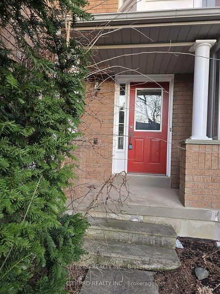 55 Rain Lily Lane