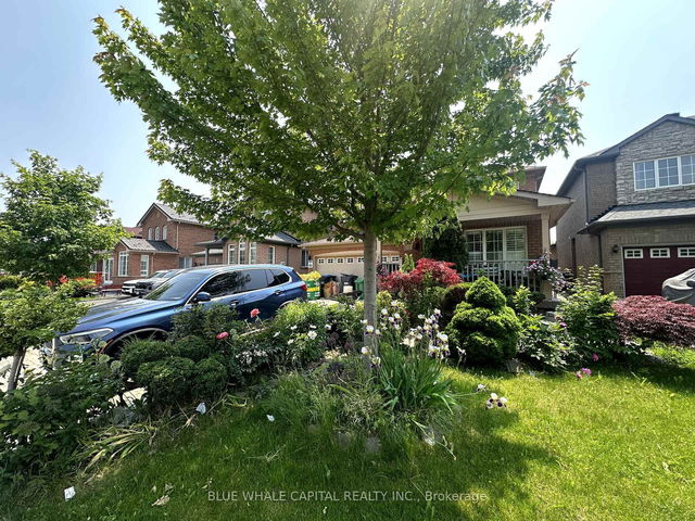 Basement - 20 Hollowgrove Boulevard
