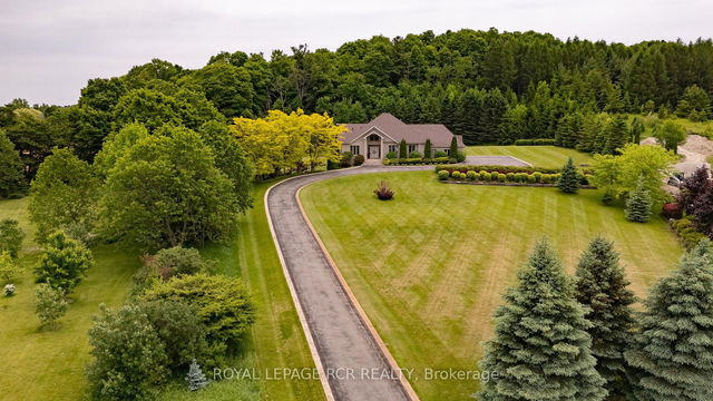 5 Woodlot Court