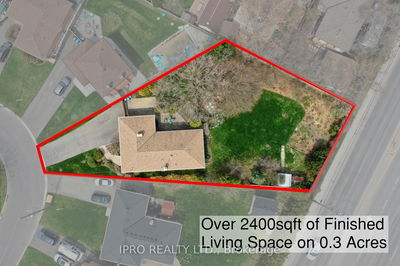 10 CHESTNUT Ave, Brampton - Northwood Park