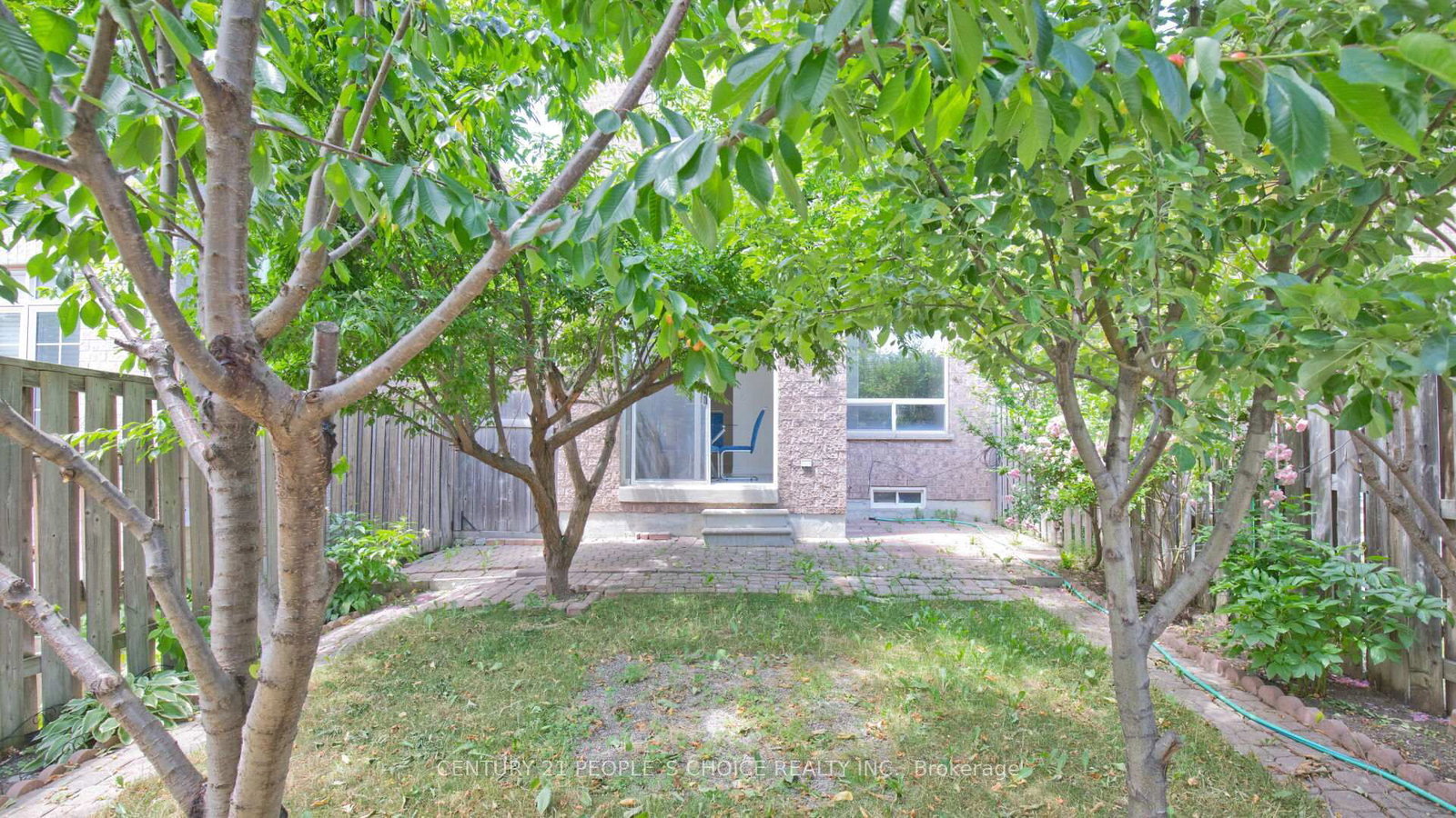 Listing Image 50