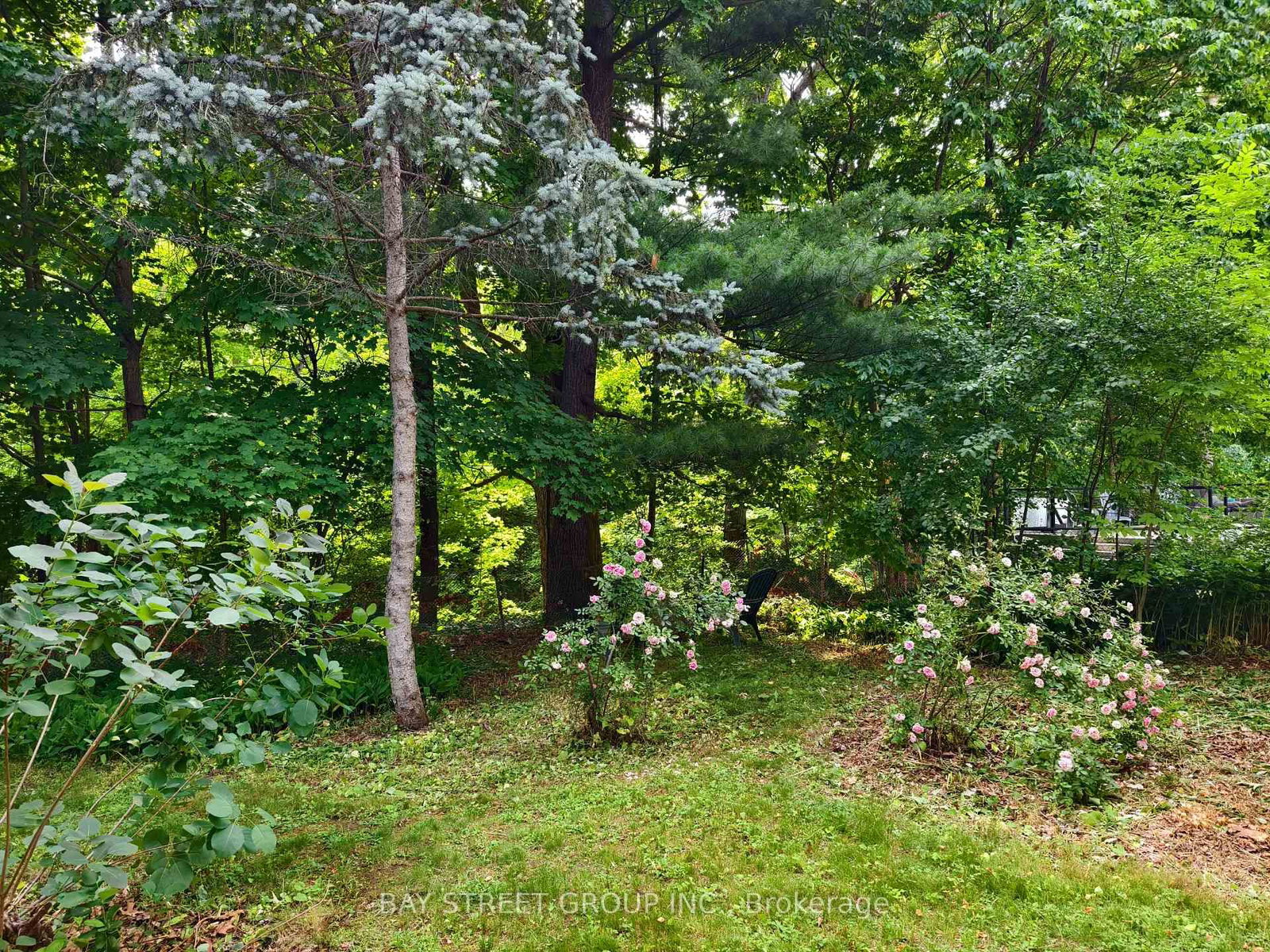 Listing Image 43