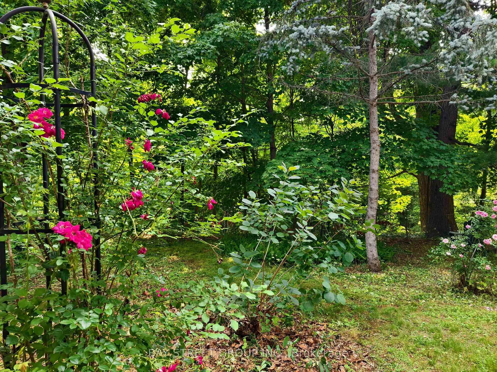 Listing Image 44