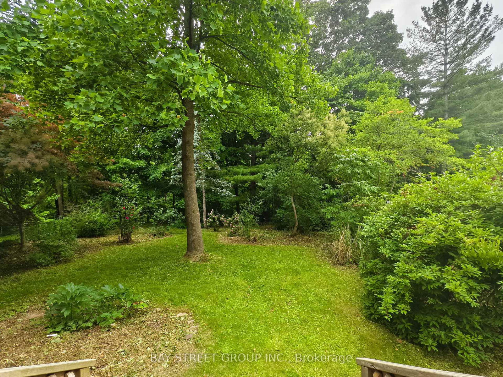 Listing Image 47