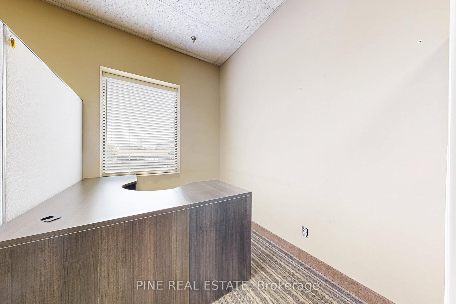 61 Advance Road, Unit 9 - Photo 9