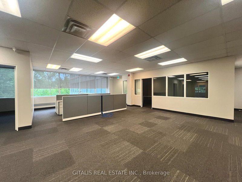 202 - 1599 Hurontario St, Mississauga, L5G 4S1 | Image 2