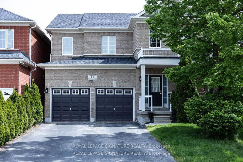 Unit Lower — 11 Celestial Court, Brampton