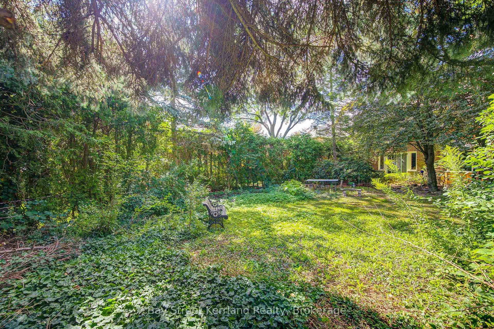 Listing Image 41