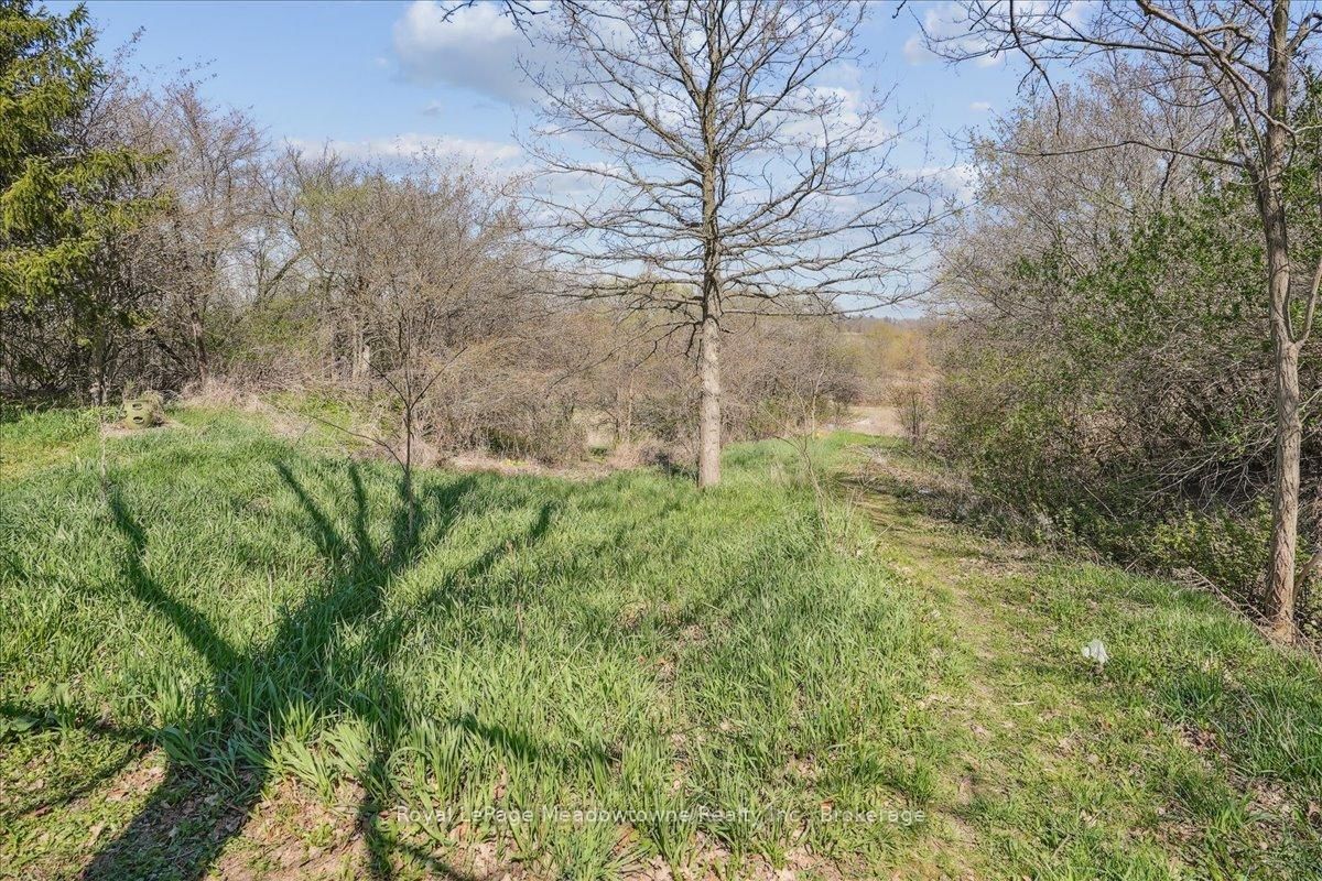 Listing Image 46