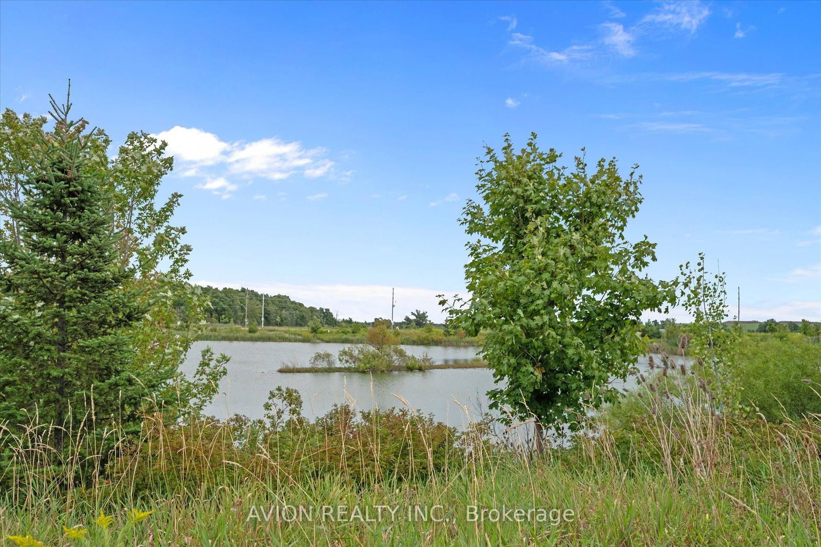 Listing Image 36