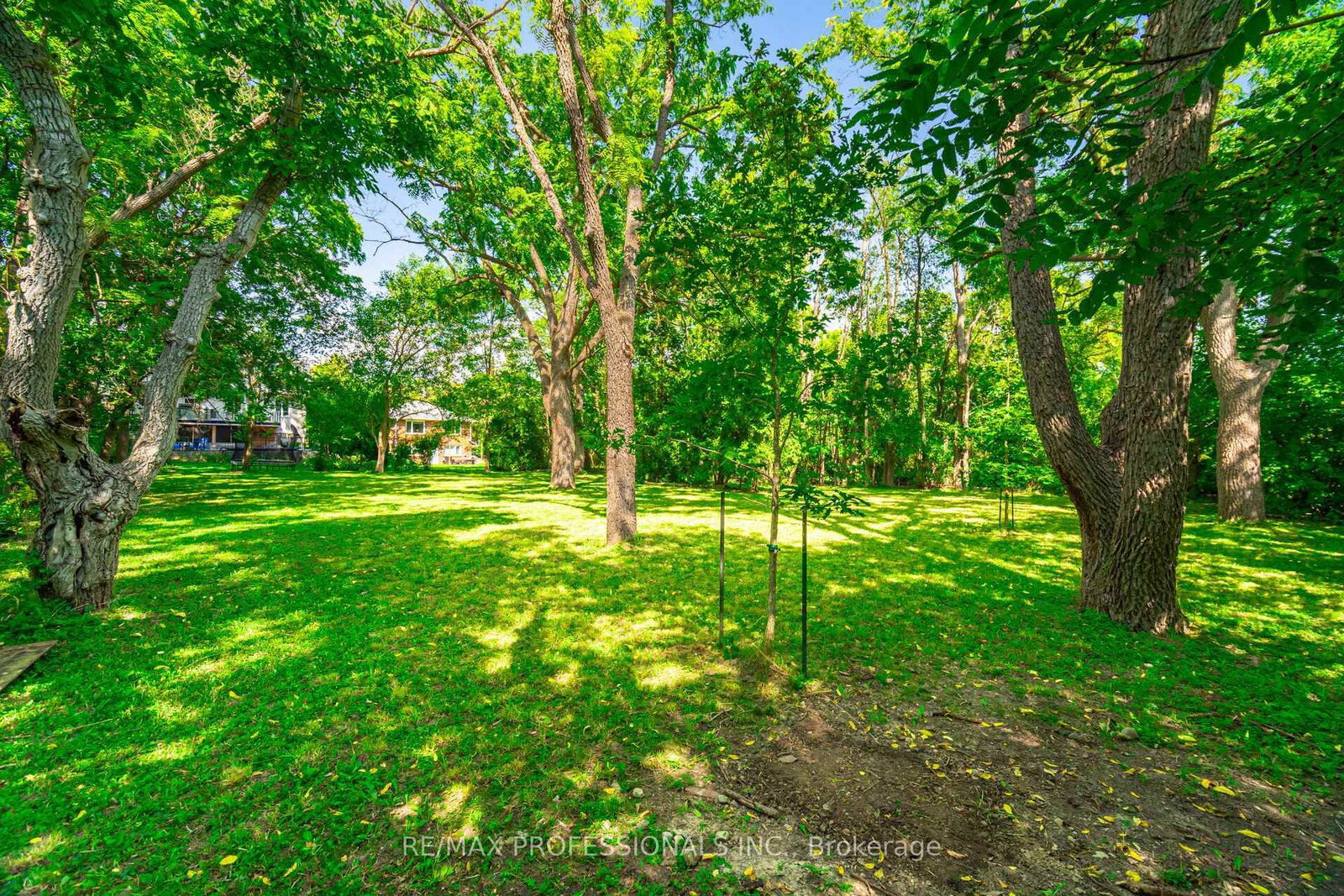 Listing Image 41