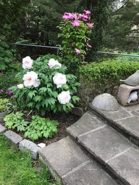 Listing Image 44