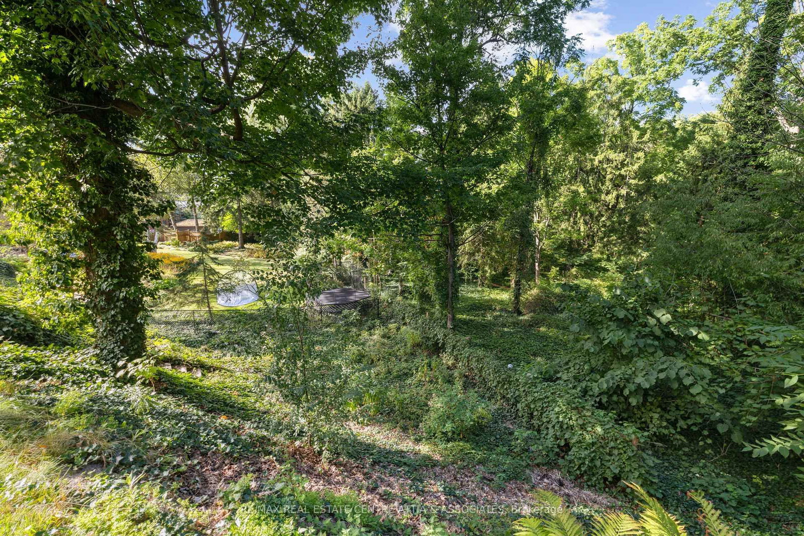Listing Image 43