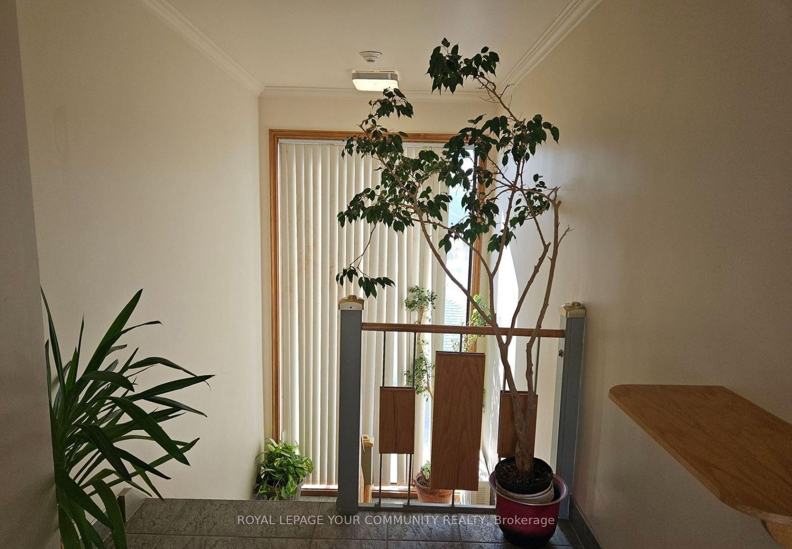 795 Wilson Avenue, Unit 101 - Photo 19