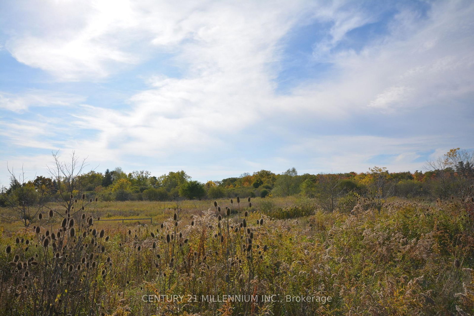 4022 Fourth Line - Photo 2