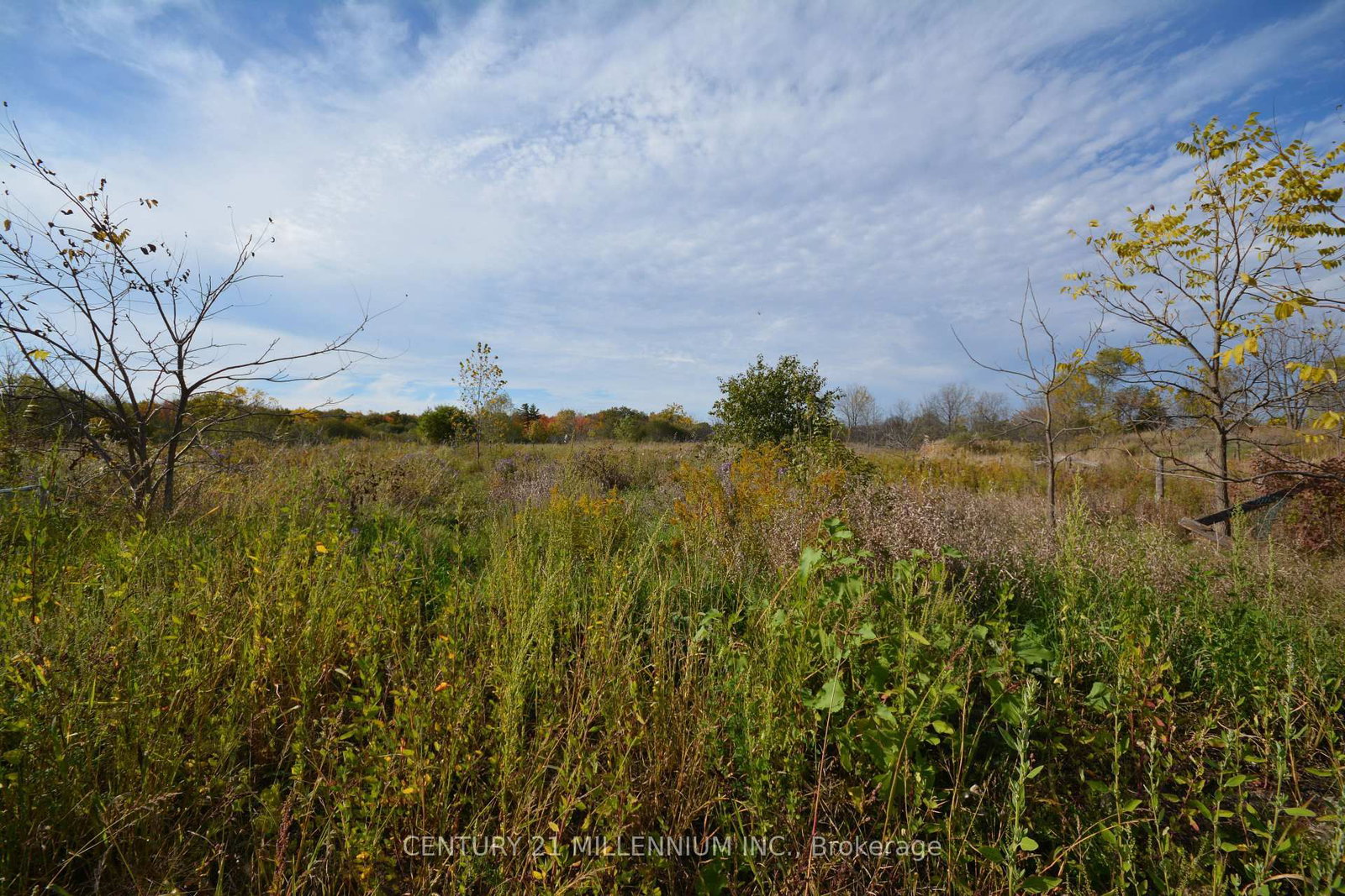 4022 Fourth Line - Photo 5