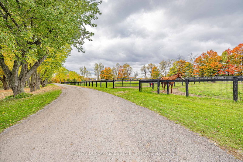 18095 Horseshoe Hill Rd photo 4
