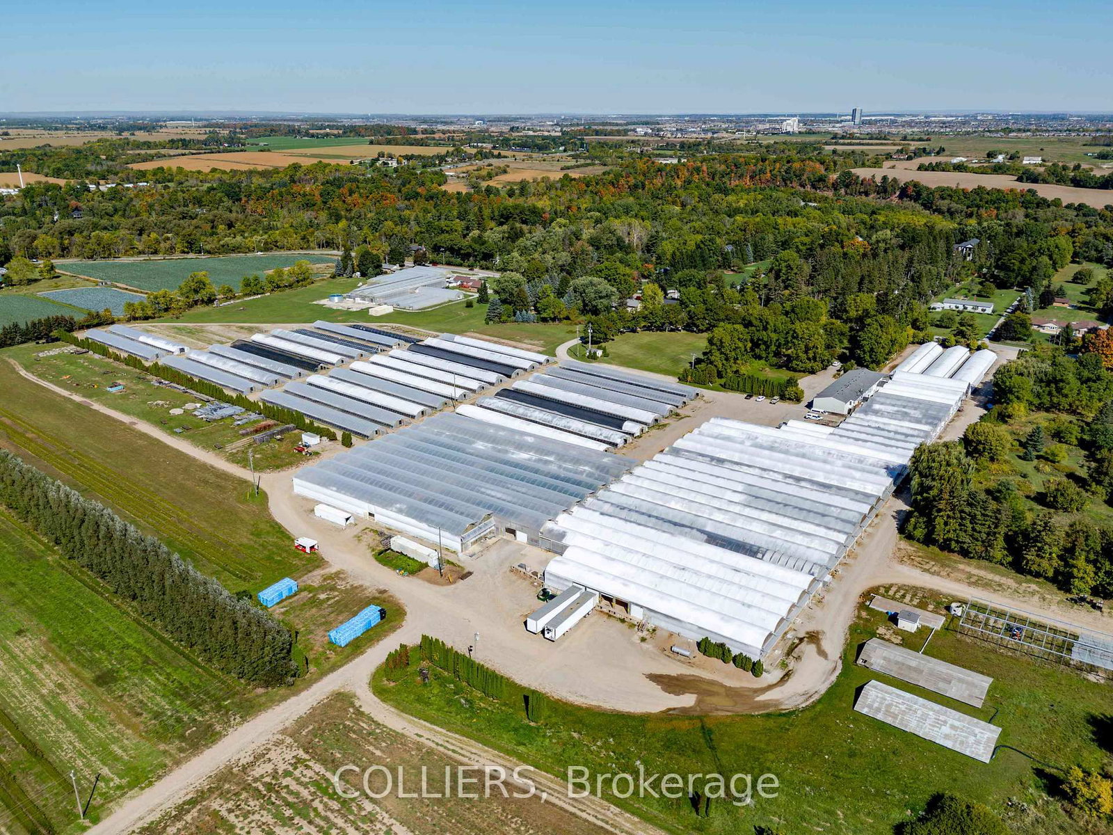 12302 10th Line - Photo 10