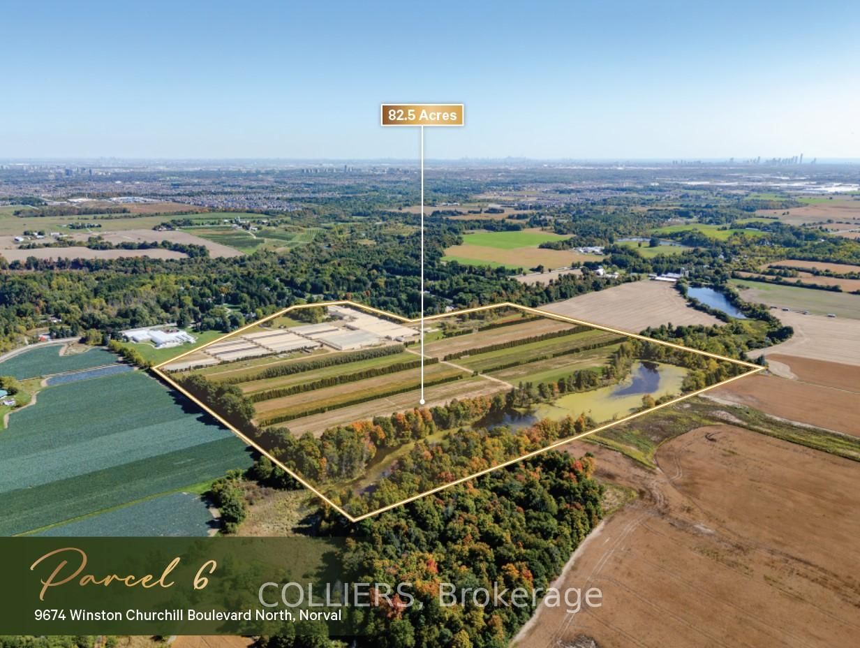 12302 10th Line - Photo 7