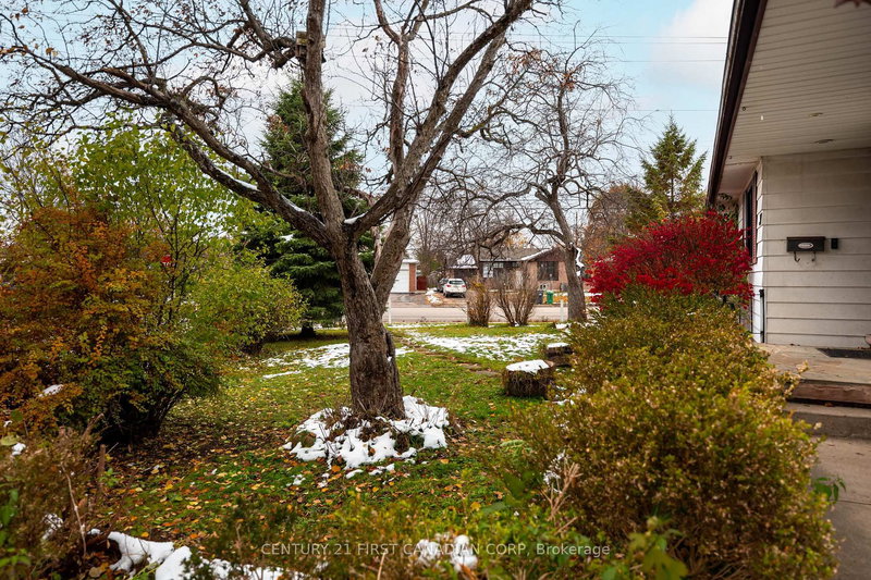 37 Mclaughlin Rd N, Brampton, L6X 1Y9 | Image 2