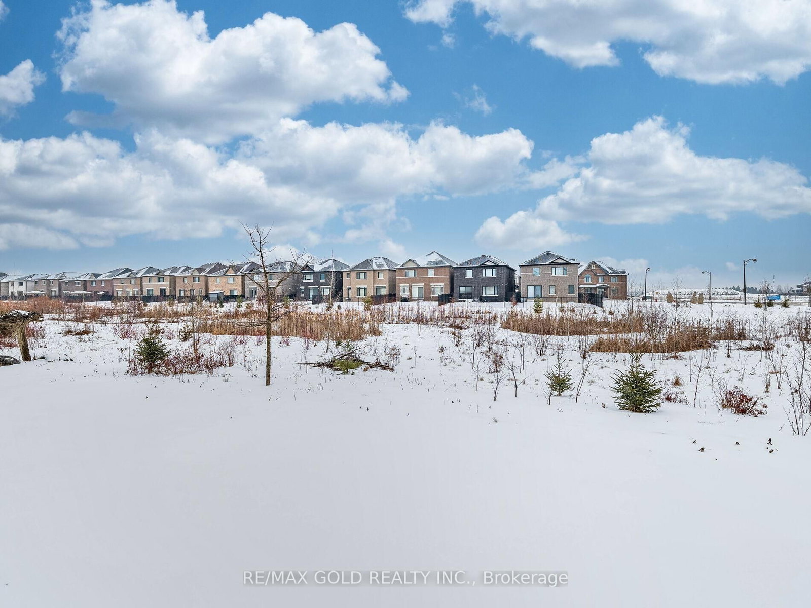 Detached House for sale at 50 Dundee Street, Caledon, Ontario, L7C 4K2 - Rural Caledon - MLS: W12654452