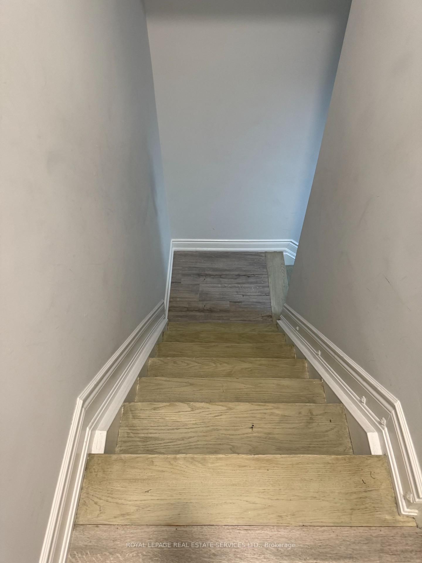 Image 15