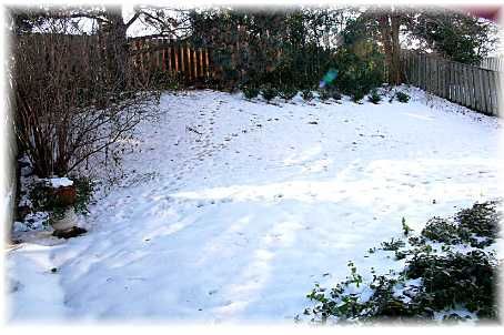 19 Talgarth Rd, Toronto, M9B6H1 | Image 2