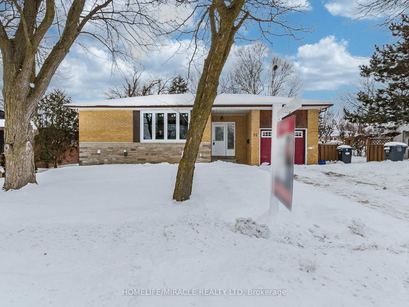 36 Mclaughlin Rd N, Brampton, L6X 1Y5 | Image 3