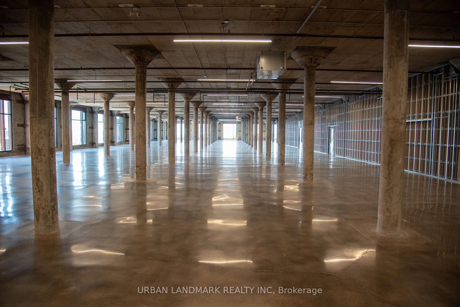 1377 The Queensway, Unit 300 - Photo 4