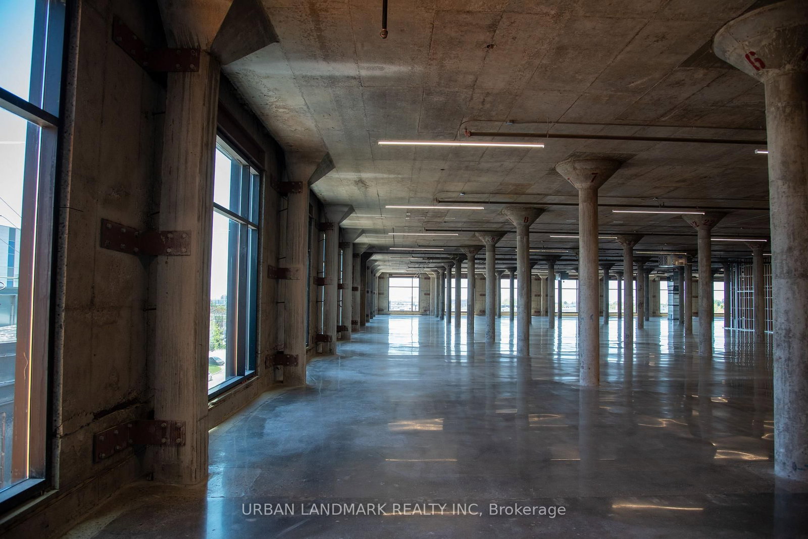 1377 The Queensway, Unit 300 - Photo 5