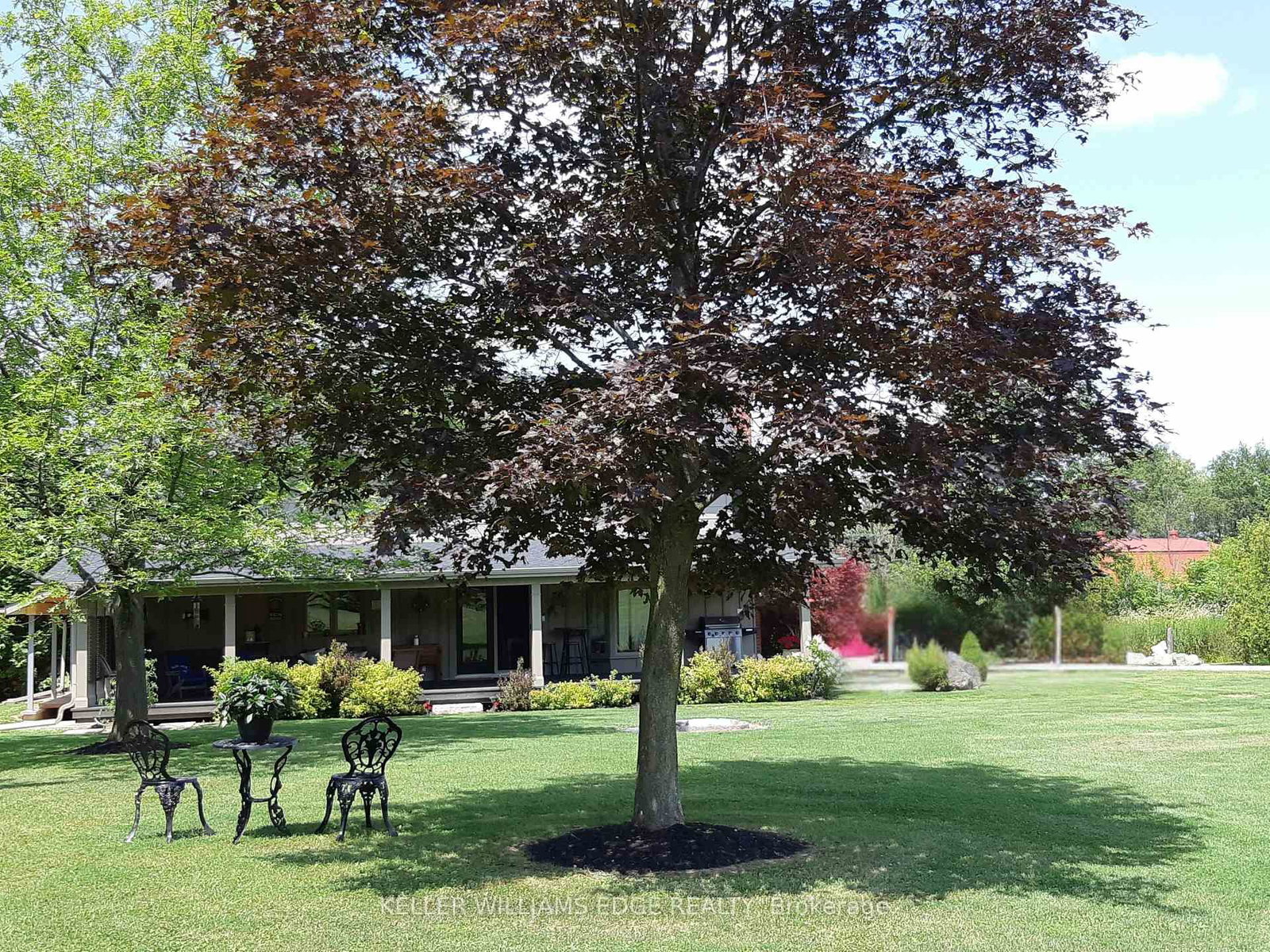 Listing Image 44