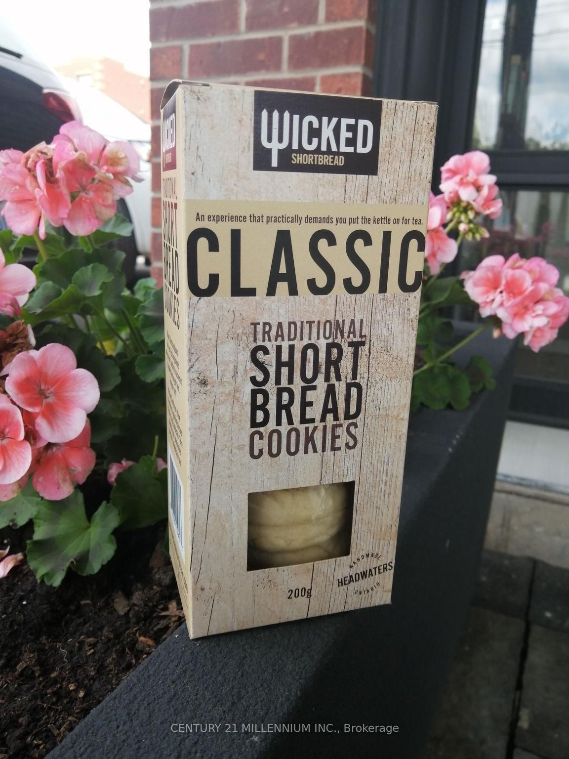 17 Armstrong Street - Photo 13