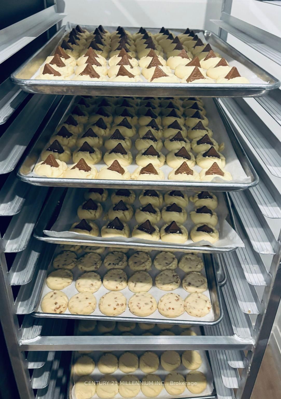 17 Armstrong Street - Photo 34