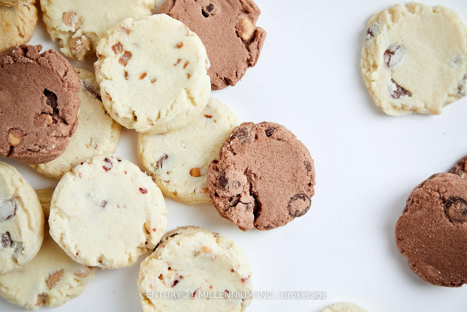 17 Armstrong Street - Photo 39