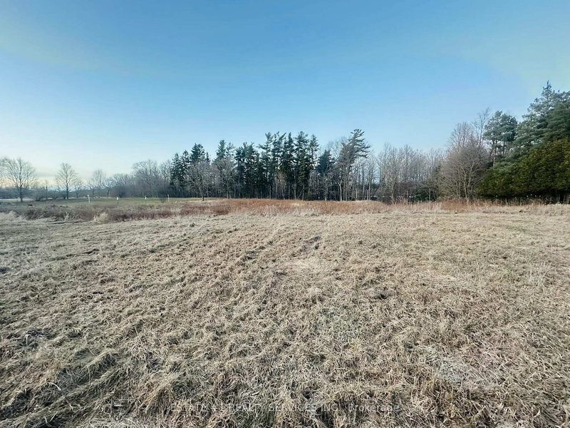 10231 Old Pinecrest Rd, Brampton, L7A 0A4 | Image 3