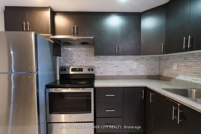 Basement - 49 Pellegrino Road