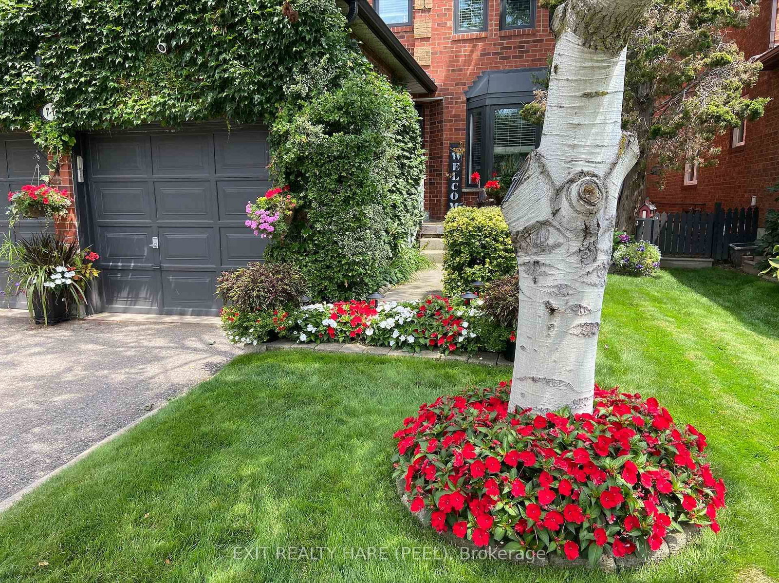 Detached House for sale at 77 Lord Simcoe Drive, Brampton, Ontario, L6S 5H1 - Westgate - MLS: W12806242